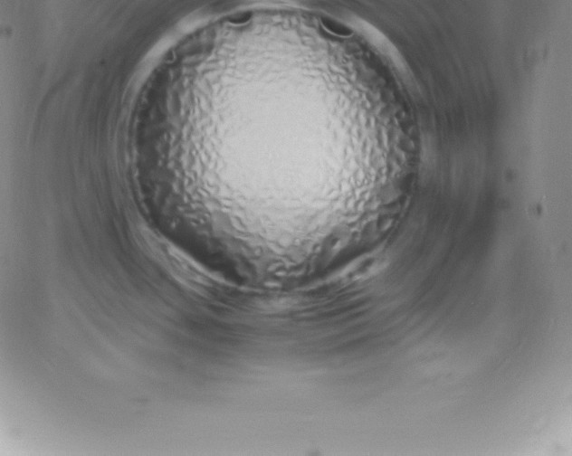 X0000060751435200511241652