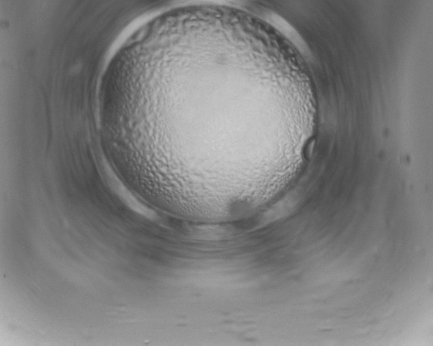 X0000060751436200511241652