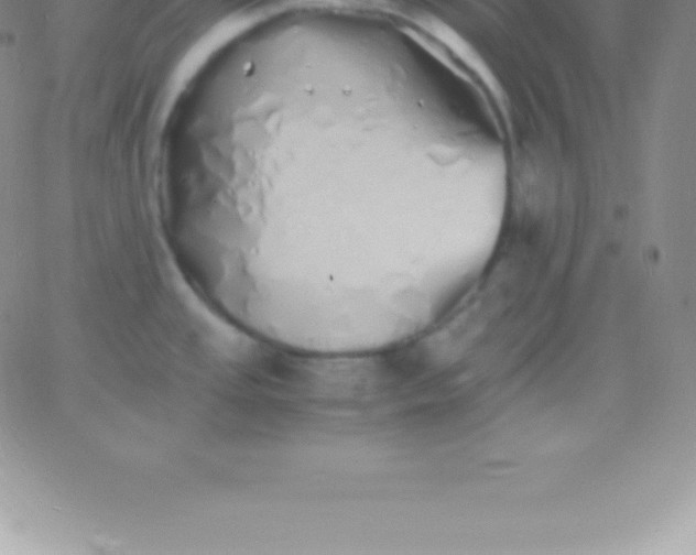 X0000060751437200511241652