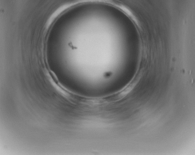 X0000060751438200511241652