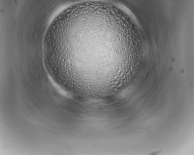 X0000060751439200511241652