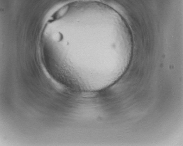 X0000060751440200511241652