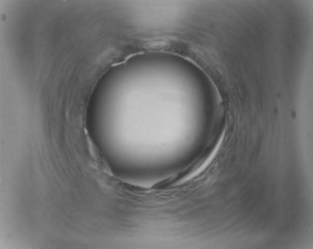 X0000060751441200511241651