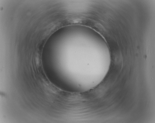 X0000060751442200511241651