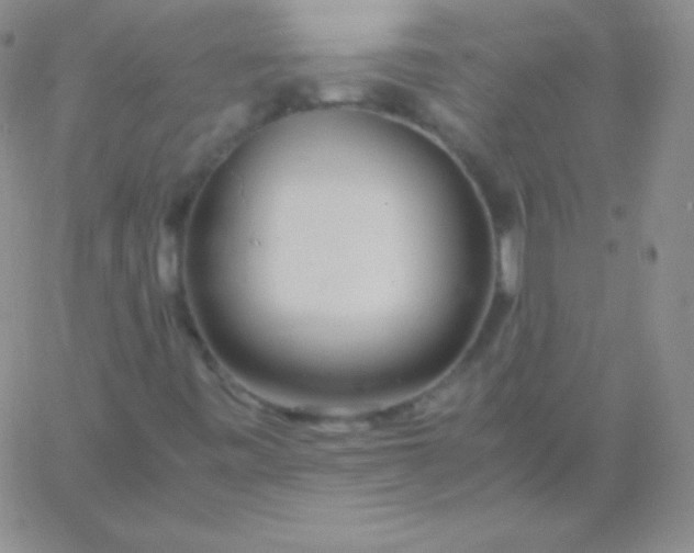 X0000060751443200511241651