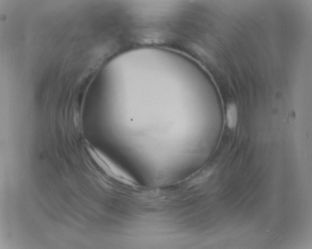 X0000060751444200511241651