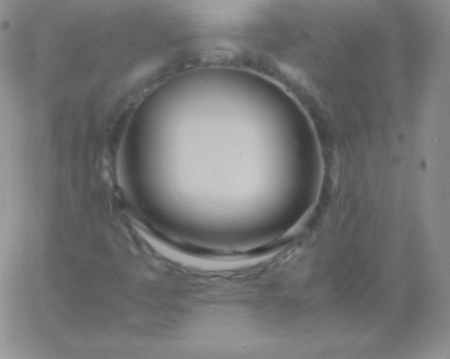 X0000060751445200511241651