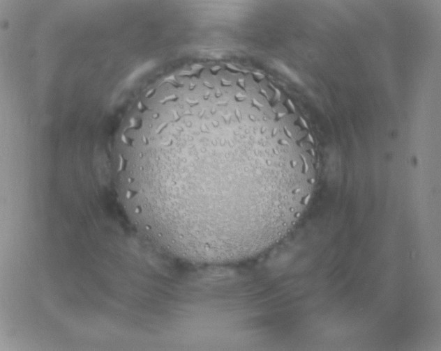 X0000060751446200511241651