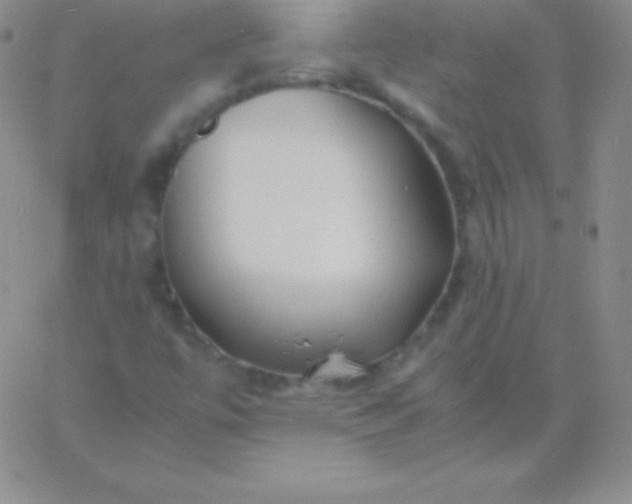 X0000060751447200511241651