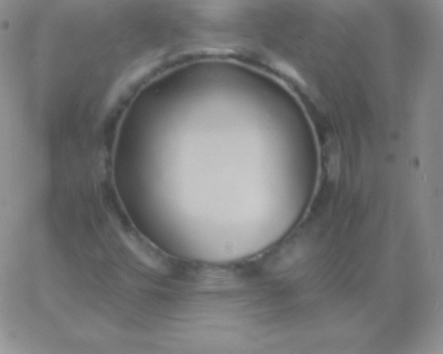 X0000060751448200511241651