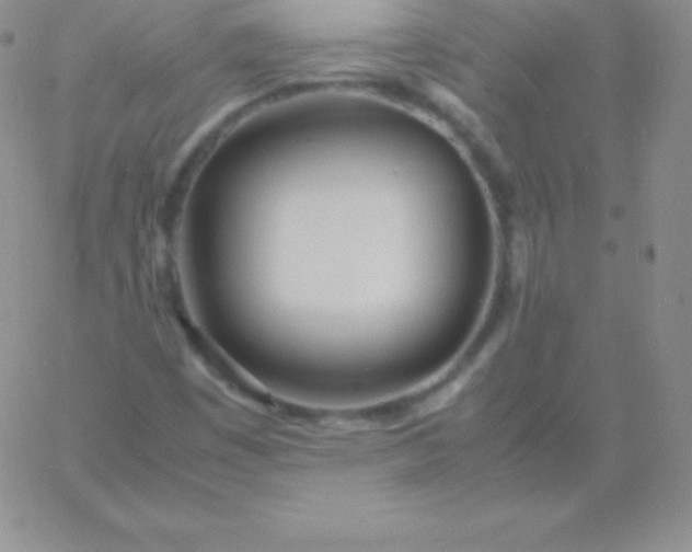 X0000060751449200511241651