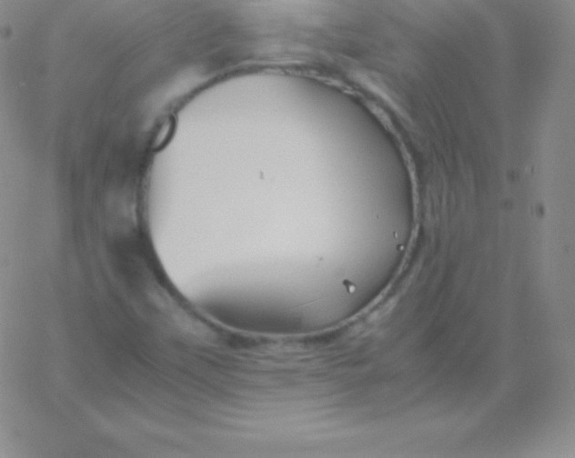 X0000060751451200511241651