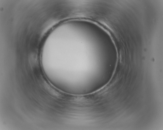 X0000060751452200511241651