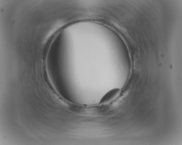 X0000060751453200511241651