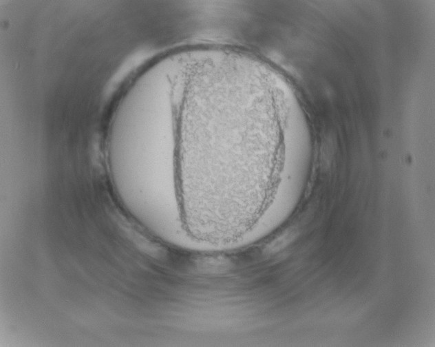 X0000060751454200511241651