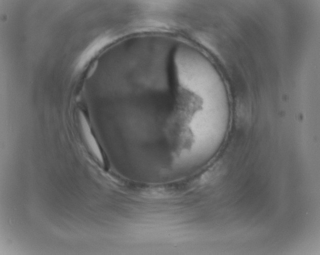 X0000060751455200511241651