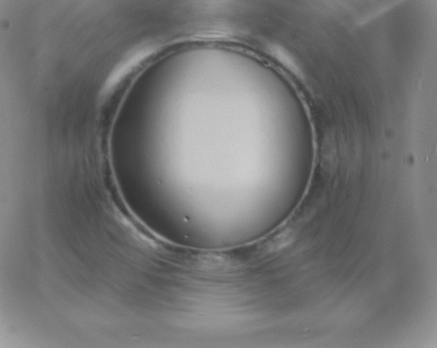 X0000060751456200511241651