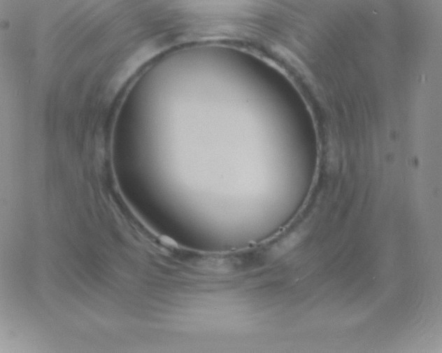 X0000060751457200511241651