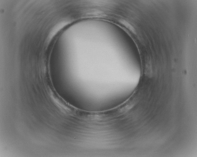 X0000060751458200511241651