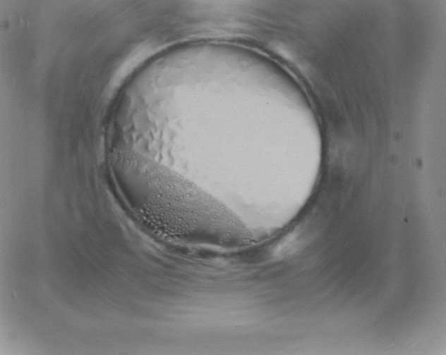 X0000060751459200511241651