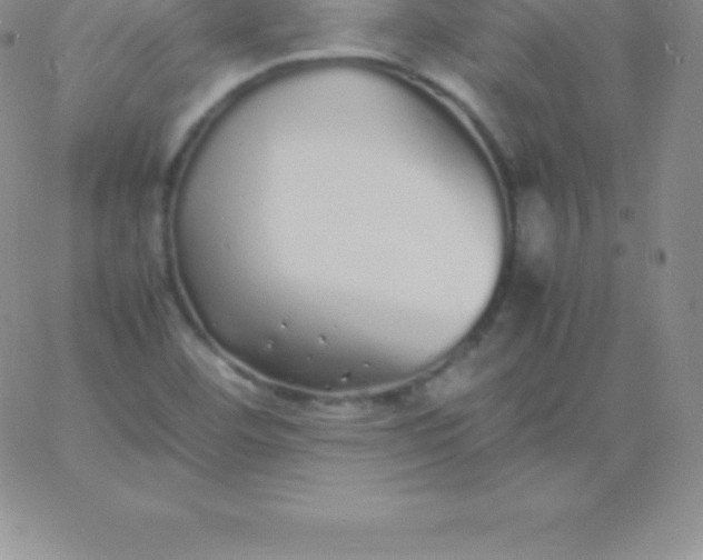 X0000060751460200511241651