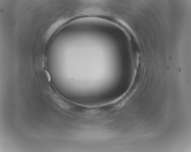 X0000060751461200511241651