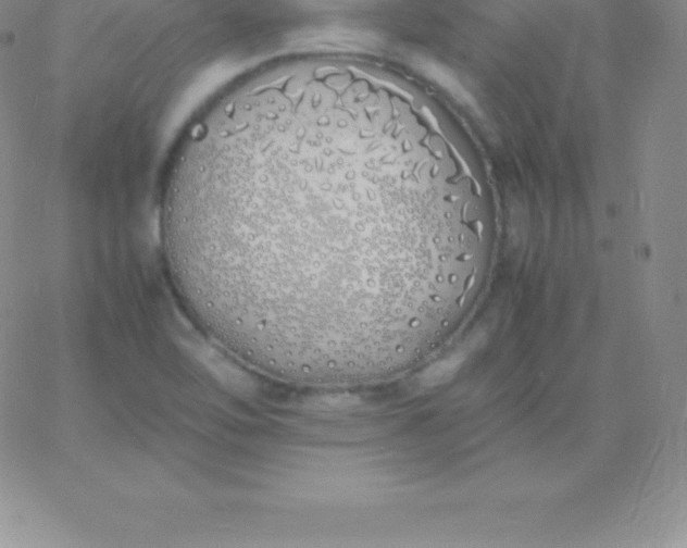 X0000060751462200511241651