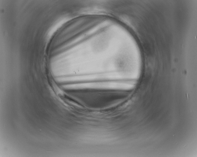 X0000060751463200511241651