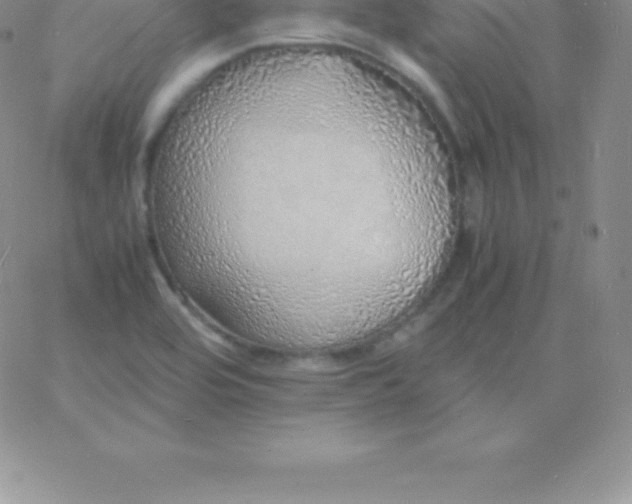 X0000060751464200511241651