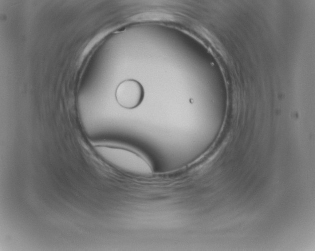 X0000060751465200511241651