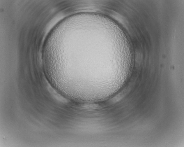 X0000060751466200511241651