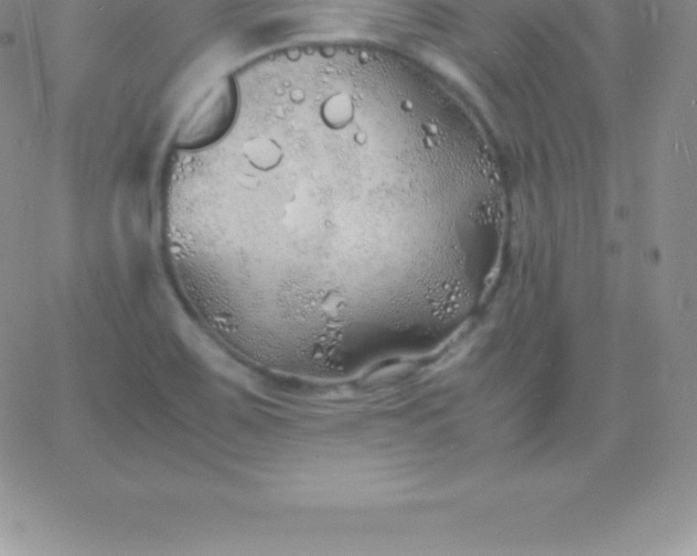 X0000060751467200511241651