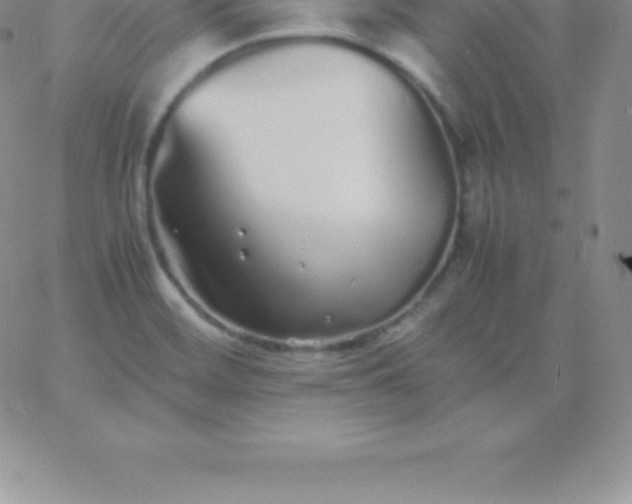 X0000060751468200511241651