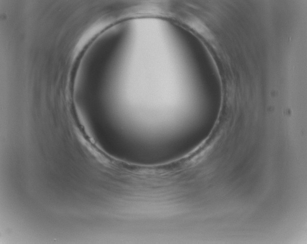 X0000060751469200511241651