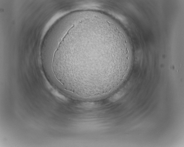 X0000060751470200511241651