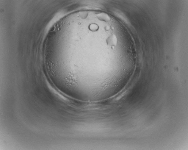 X0000060751471200511241651