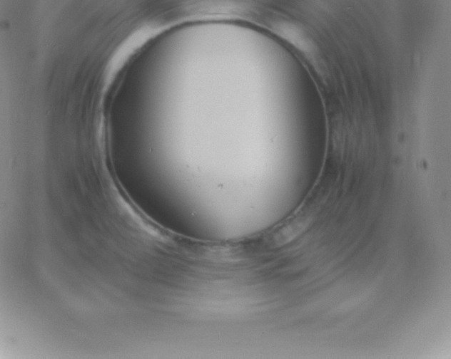 X0000060751472200511241651