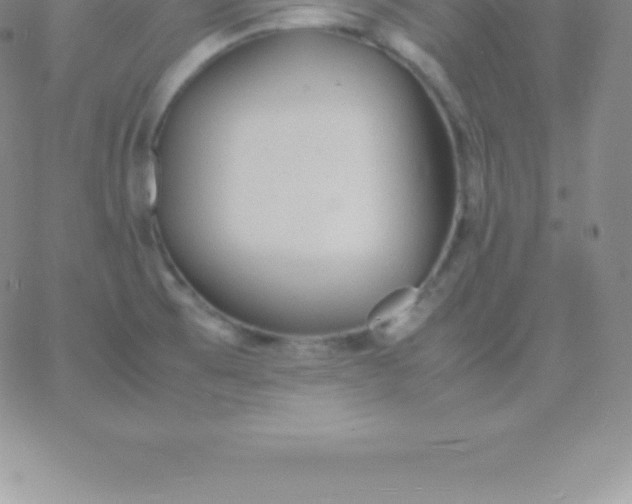 X0000060751473200511241651