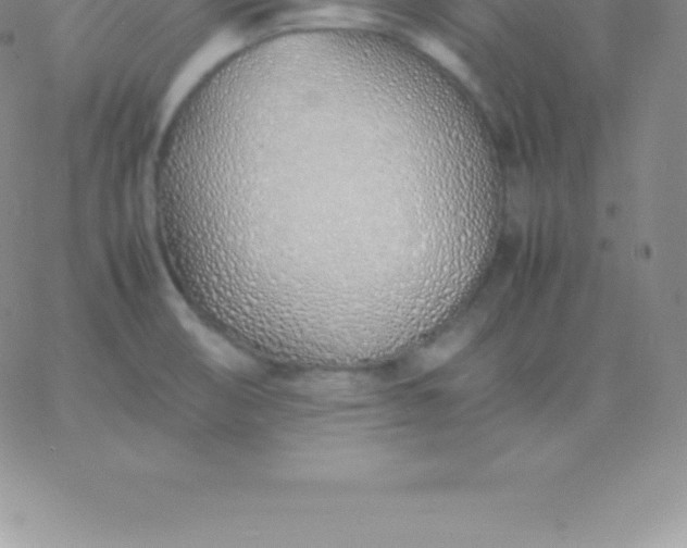 X0000060751474200511241651