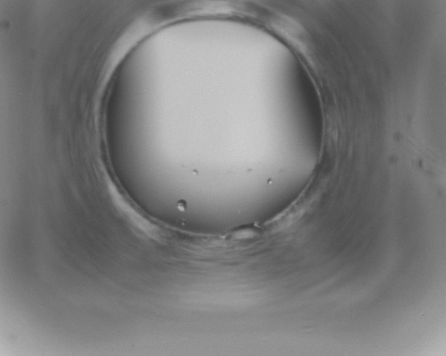 X0000060751475200511241651