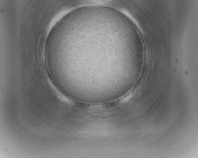 X0000060751477200511241651