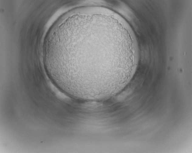 X0000060751478200511241651