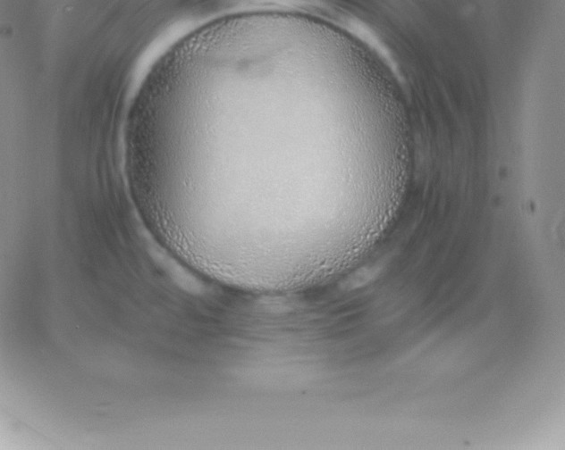 X0000060751480200511241651