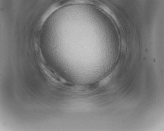 X0000060751481200511241651