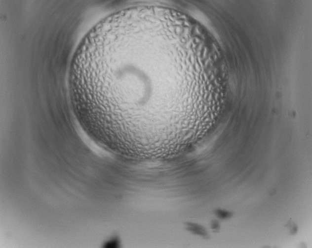 X0000060751482200511241651