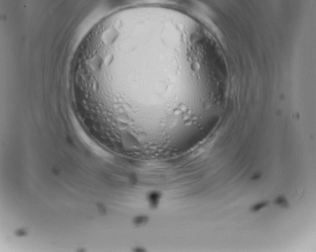 X0000060751483200511241651