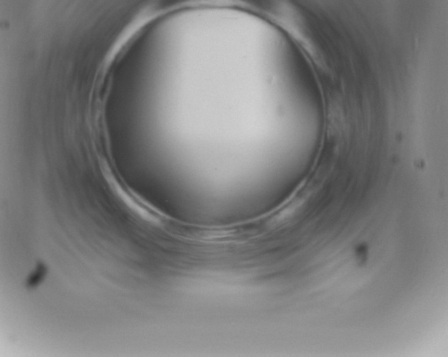 X0000060751484200511241651