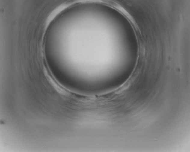 X0000060751485200511241651