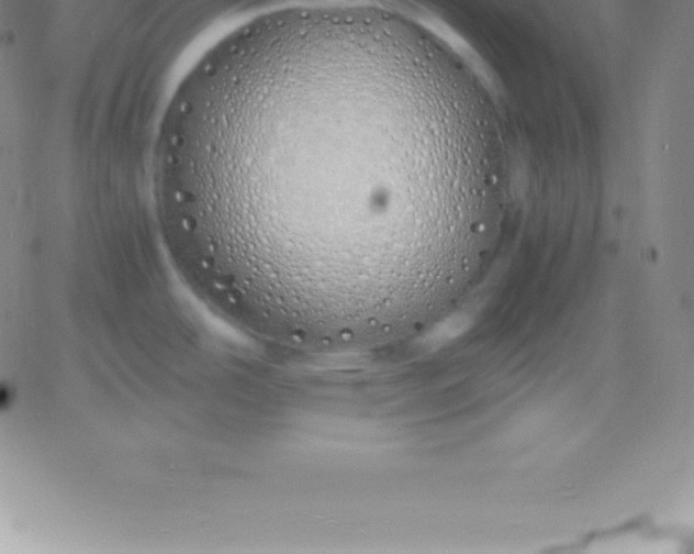 X0000060751486200511241650