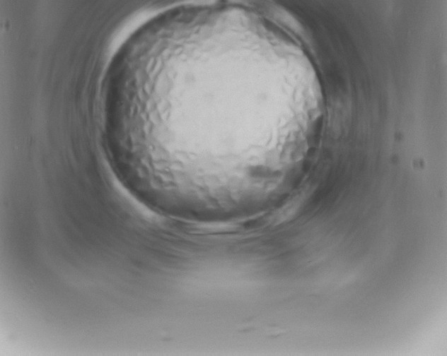 X0000060751487200511241650